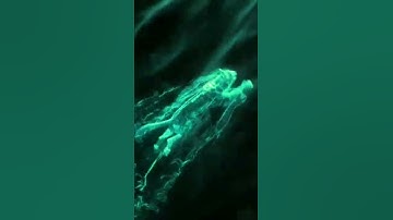 YUVRAJ GAMING INTRO MAKER