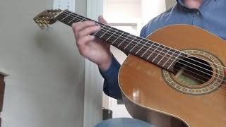 Video thumbnail of "THE WELLERMAN (Sea Shanty from Nathan Evans arrangement with Guitar Intro)"