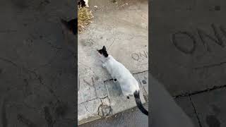 Çorap Ile Eren Ne Yapıyor Acaba