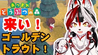 【あつ森】ゴールデントラウトゴールデントラウトゴールデントラウトゴールデントラウトゴールデントラウトゴールデントラウトゴールデントラウトゴールデントラウトゴールデントラウト【Vtuber】