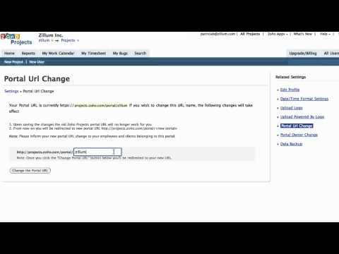 Change Portal URL & Owner - Zoho Projects