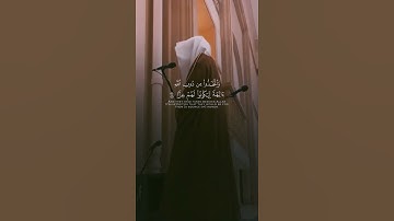 سورة مريم | محمد أبا الحسن