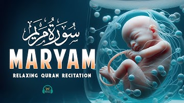 Surah Maryam سورة مريم | This Beautiful Voice Will Touch Your Heart إن شاء الله | Lofi Quran
