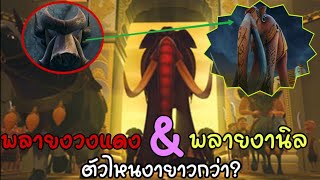 ก้านกล้วย | พลายงวงแดง&พลายงานิล ตัวไหนงายาวกว่า? |สงสัยมั้ย? Ep.10