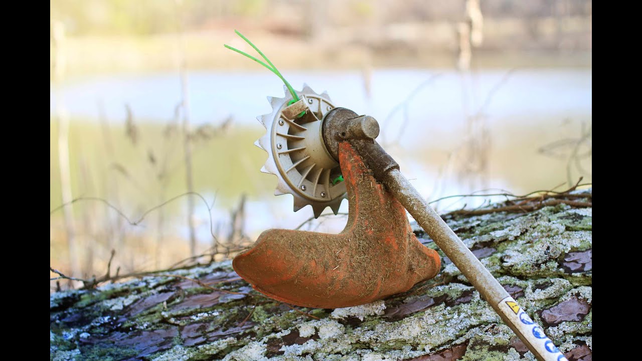 WeedShark | Story Video