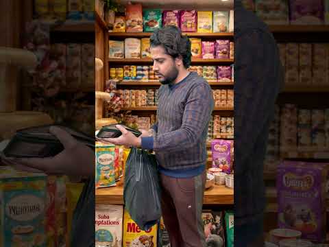 Billu Love☹️😕🙁☺️ #catshorts #catvideo #sajidcat #cat #catlover #catshorts #catworld