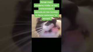 #Shorts #Tiktok #Memes #Угарные Мемы #Мемы2021 #Лютыемемы