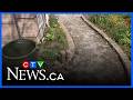 Door-to-door scammers are running rampant this spring