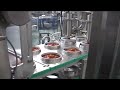 2-Up Pneumatic-Driven Machine for Hot Salsa Filling