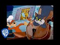 Tom & Jerry | What a Night | Classic Cartoon Compilation | WB Kids