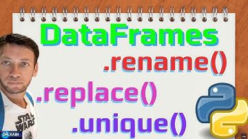 Como Usar .rename(), .replace() y .unique() en un DataFrame en Python (Google Colab)