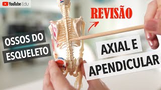 Ossos do esqueleto axial e apendicular: REVISÃO | Anatomia etc #anatomia #sistemaesqueletico
