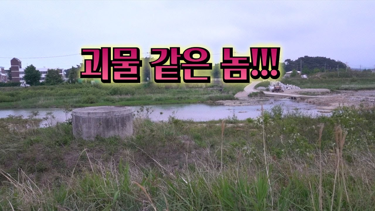 낚싯대 던지자마자 덥석! 뭐든지 삼킨다!/As soon as I threw the fishing rod, a big fish was caught.