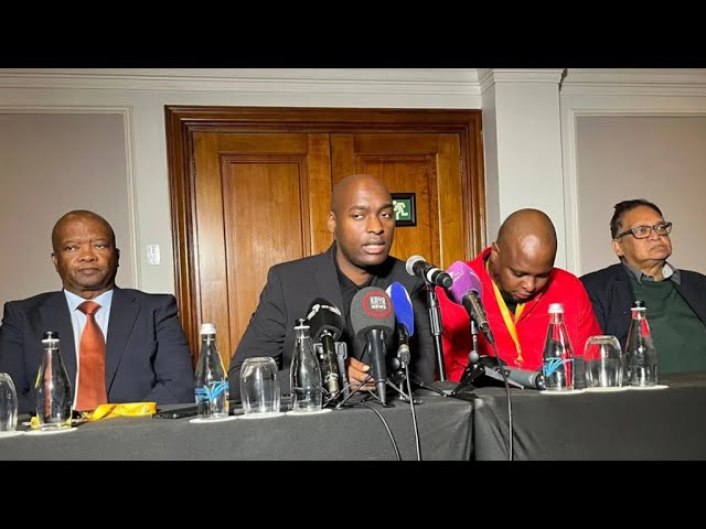 Progressive Caucus hold media briefing ahead of Ramaphosa's opening of Parliament address