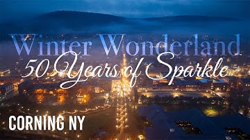 MUST Visit Holiday Event: 50 Years of Sparkle