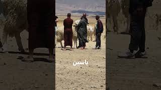 الله يبارك ماشاء الله القادم أفضل إن شاء الله ياسين بن زيتون