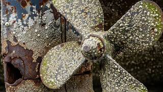 Satisfying ASMR Barnacles Removal – ASMR Cleaning Boat No Talking (13)