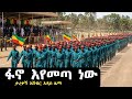 ፋኖ እየመጣ ነው ታረቀኝ አሸብር አዲስ የፋኖ ዜማ Tarekegn Ashebir Official New Amharik Music Amharafano 