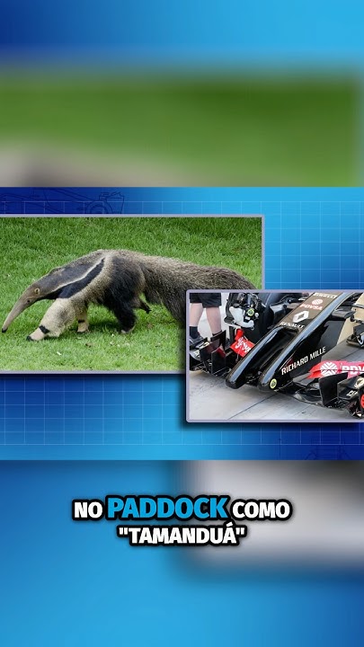 Em 2014 a Renault apareceu com o carro tamanduá, e seu nariz pontudo e assimétrico. #f1 #shorts