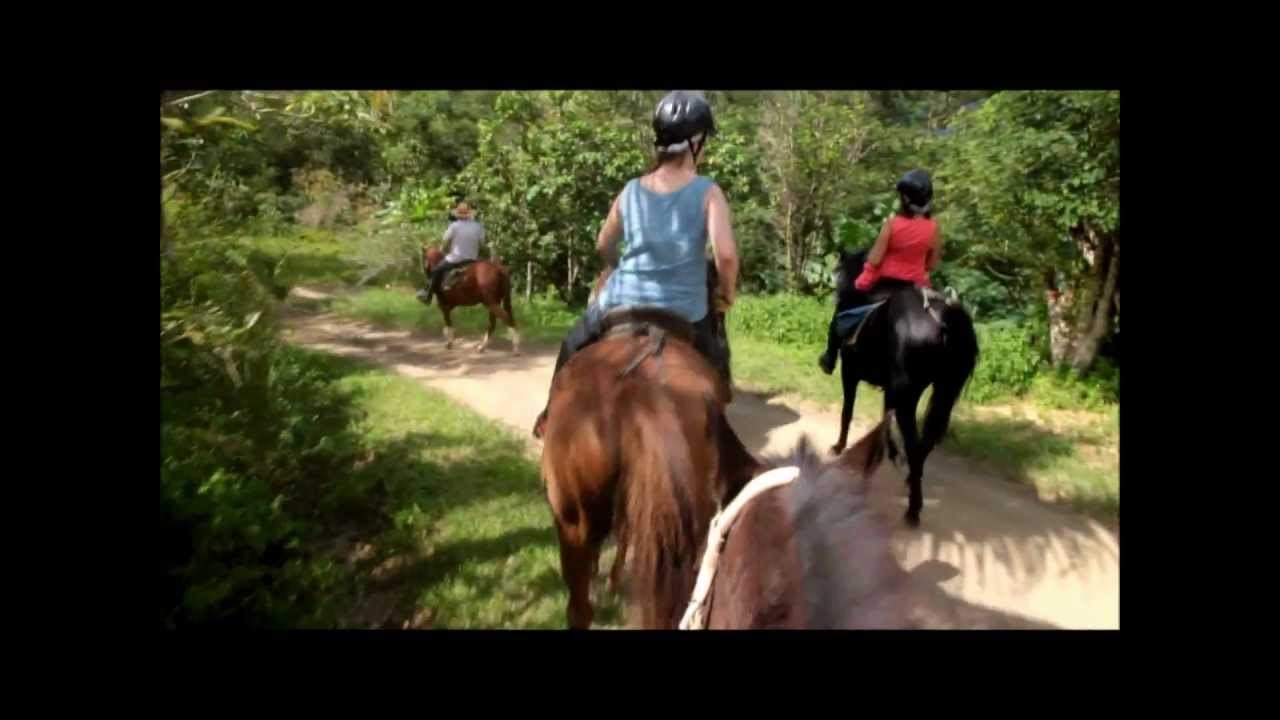 randonnee cheval sarramea