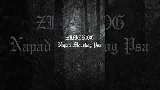 Zimorog - Napad Morskog Psa | (Modular Synth Cover "almost") #shorts #blackmetal #zimorog #softube