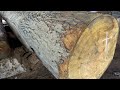 Uncovering the Secrets of Choosing the Right Saws - The Ultimate Guide for Woodworkers!