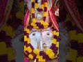 1 december 2023 morning darshan kalkamaai bhakti viral shortreels trending