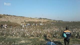 Ҳоким 30 га яқин фермерни қамаб қўйди