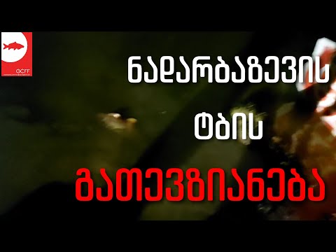 ნადარბაზევის ტბის გათევზიანება -  26/11/2020