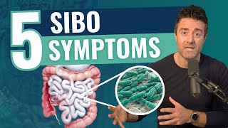 5 SIBO Symptoms To Watch Out For  Small Intestinal Bacterial Overgrowth