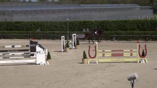 Haras Dream 07052016 Vanderhasselt 110cm