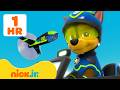 Psi Patrol | Super Szpieg Chase na tropie! 🔍 z Ryderem | 90 min | Nick Jr. Polska