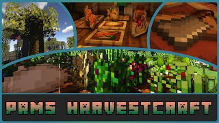 Minecraft - Pam's Harvestcraft 2 Mod Showcase [Forge 1.16.5] screenshot 5