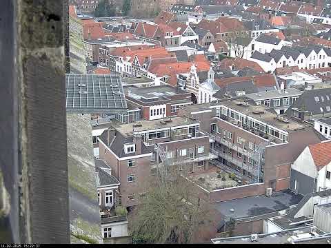 Slechtvalken Onze Lieve VrouweToren Amersfoort