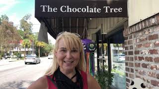 Discover "The South's Best Small Town",  beautiful Beaufort S.C. The perfect day trip destination.