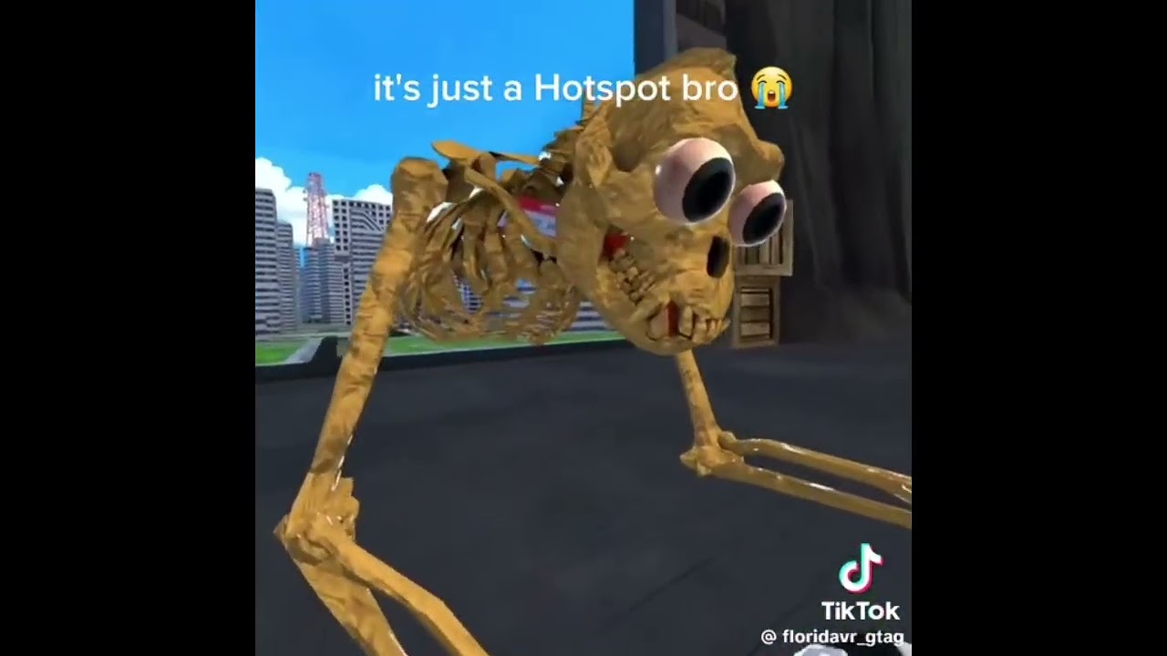 Animal company, funny moments  