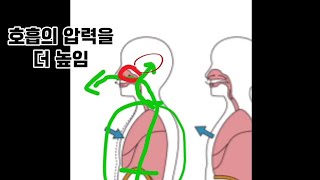 발성과 호흡통의 상관 관계 및 소리 활용까지 기초 원리 설명 : 노래 연습하는 분들 필시청!