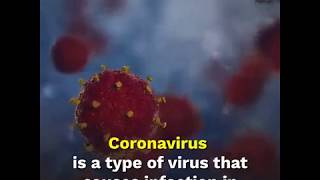 What is Corona Virus? | Wuhan | China