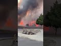 Incendio forestal 'Old Trails' cruza el río Spokane y destruye viviendas en EU #shorts