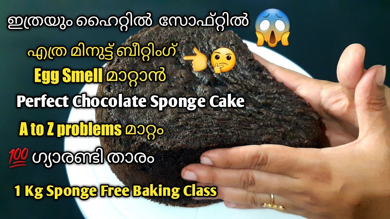💯എല്ലാവരുടെയും സംശയം മാറ്റാം1 kg Chocolate Sponge Recipe #chocolateSponge #cakerecipe #Rushaasrecipe