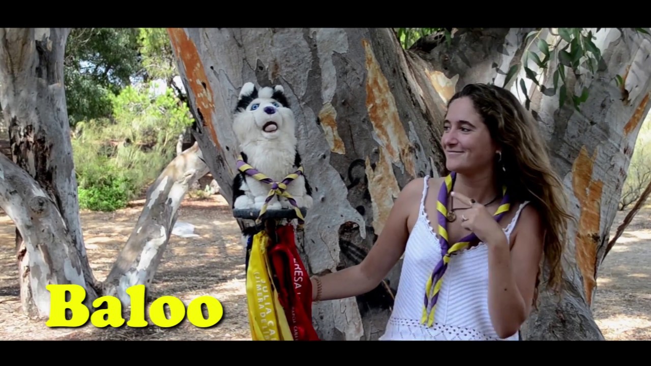 Presentación Kraal SJA 2018 2019