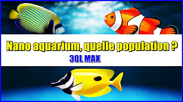 Quel poisson dans un aquarium de 30 litres ?