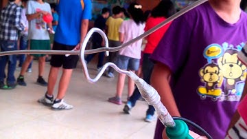 電流急急棒_科學日