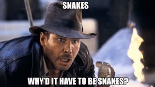 Why do we fear snakes?