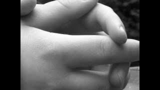 Pink - Dear MR President OFFICIAL MUSIC VIDEO