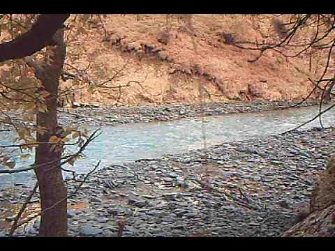 მგელი თუშეთის ეროვნულ პარკში | Wolf at Tusheti National Park