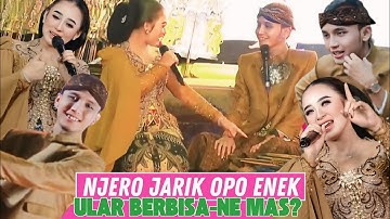 Jarik