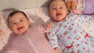 funny babies : twin babies laughing ❤🤣 by FUNNY BABIES TV 644 views 3 years ago 5 minutes, 14 seconds