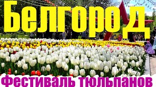 Весенний Белгород. Фестиваль тюльпанов "Река в цвету" || Belgorod. Tulip Festival.