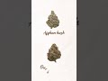Exploring Landrace Strains